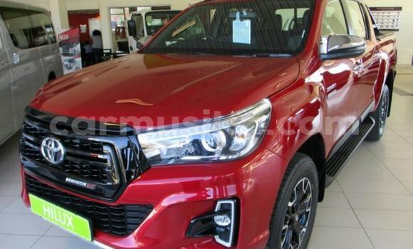 Tenga Tsaru Toyota Hilux Tsvuku Mota in Beitbridge in Matabeleland South Tenga Tsaru Toyota Hilux Tsvuku Mota in Beitbridge in Matabeleland South