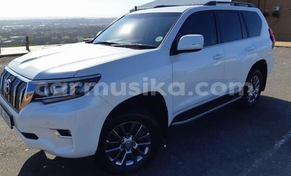 Acheter Occasion Voiture Toyota Land Cruiser Prado Blanc à Beitbridge, Matabeleland South Acheter Occasion Voiture Toyota Land Cruiser Prado Blanc à Beitbridge, Matabeleland South