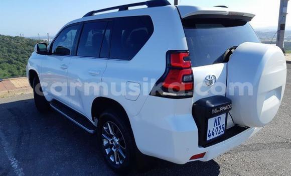 Acheter Occasion Voiture Toyota Land Cruiser Prado Blanc à Beitbridge, Matabeleland South Acheter Occasion Voiture Toyota Land Cruiser Prado Blanc à Beitbridge, Matabeleland South