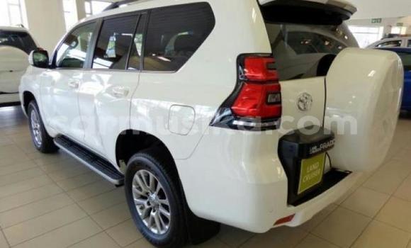 Nunua Ilio tumika Toyota Land Cruiser Prado Nyeupe Gari ndani ya Beitbridge nchini Matabeleland Kusini Nunua Ilio tumika Toyota Land Cruiser Prado Nyeupe Gari ndani ya Beitbridge nchini Matabeleland Kusini