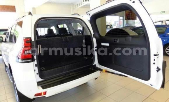 Nunua Ilio tumika Toyota Land Cruiser Prado Nyeupe Gari ndani ya Beitbridge nchini Matabeleland Kusini Nunua Ilio tumika Toyota Land Cruiser Prado Nyeupe Gari ndani ya Beitbridge nchini Matabeleland Kusini