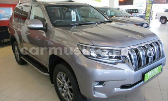 Buy Used Toyota Land Cruiser Prado Silver Car in Beitbridge in Matabeleland South Buy Used Toyota Land Cruiser Prado Silver Car in Beitbridge in Matabeleland South