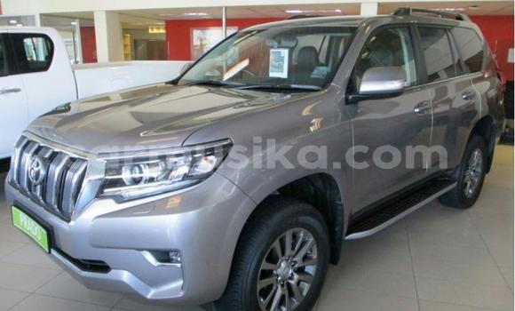 Buy Used Toyota Land Cruiser Prado Silver Car in Beitbridge in Matabeleland South Buy Used Toyota Land Cruiser Prado Silver Car in Beitbridge in Matabeleland South