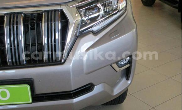 Buy Used Toyota Land Cruiser Prado Silver Car in Beitbridge in Matabeleland South Buy Used Toyota Land Cruiser Prado Silver Car in Beitbridge in Matabeleland South