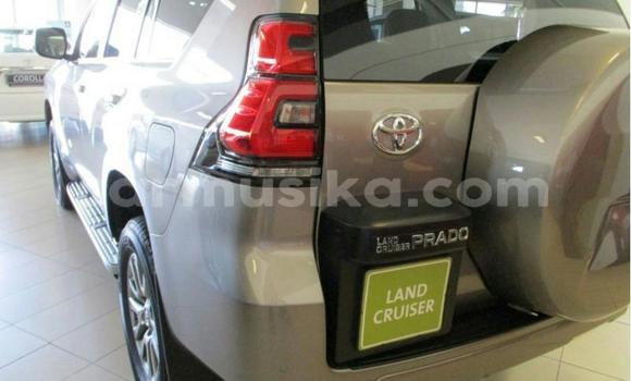 Buy Used Toyota Land Cruiser Prado Silver Car in Beitbridge in Matabeleland South Buy Used Toyota Land Cruiser Prado Silver Car in Beitbridge in Matabeleland South