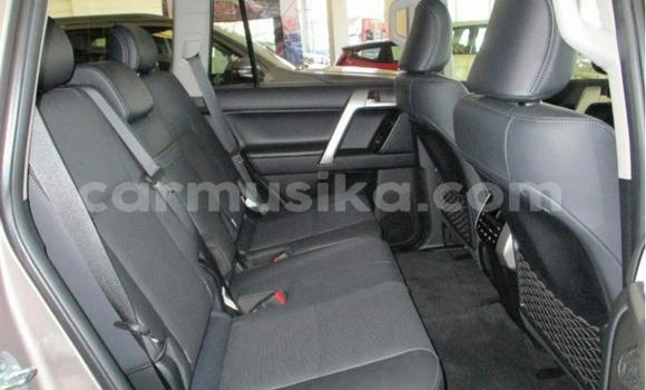 Buy Used Toyota Land Cruiser Prado Silver Car in Beitbridge in Matabeleland South Buy Used Toyota Land Cruiser Prado Silver Car in Beitbridge in Matabeleland South