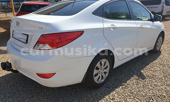 Buy Used Hyundai Accent White Car in Beitbridge in Matabeleland South Buy Used Hyundai Accent White Car in Beitbridge in Matabeleland South