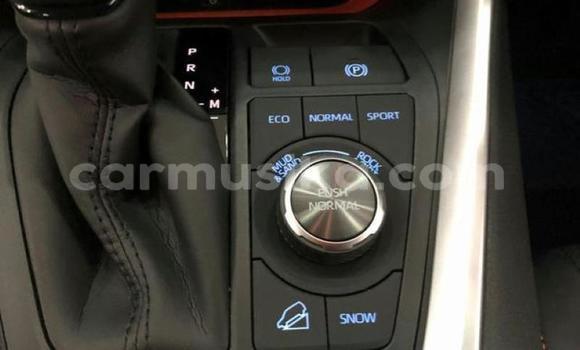 Acheter Occasion Voiture Toyota RAV4 Autre à Beitbridge, Matabeleland South Acheter Occasion Voiture Toyota RAV4 Autre à Beitbridge, Matabeleland South