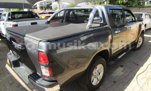Acheter Occasion Voiture Toyota Hilux Noir à Bulawayo, Bulawayo Acheter Occasion Voiture Toyota Hilux Noir à Bulawayo, Bulawayo