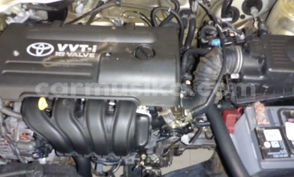 Buy Used Toyota Runx Other Car in Beitbridge in Matabeleland South Buy Used Toyota Runx Other Car in Beitbridge in Matabeleland South