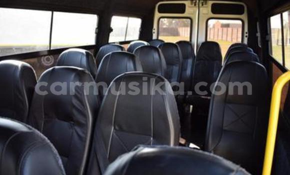Buy Used IVECO Massif White Car in Beitbridge in Matabeleland South Buy Used IVECO Massif White Car in Beitbridge in Matabeleland South
