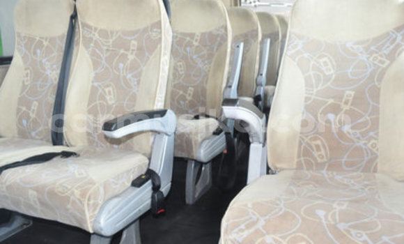 Buy Used IVECO Massif White Car in Beitbridge in Matabeleland South Buy Used IVECO Massif White Car in Beitbridge in Matabeleland South