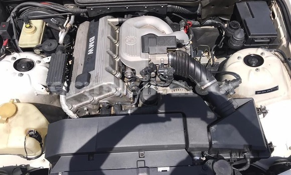 Buy Used BMW 321 White Car in Gweru in Midlands Buy Used BMW 321 White Car in Gweru in Midlands