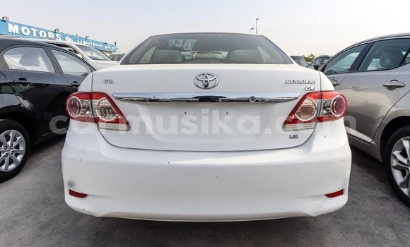 Tenga Imported Toyota Corolla Chena Mota in Import - Dubai in Harare Tenga Imported Toyota Corolla Chena Mota in Import - Dubai in Harare
