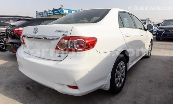 Tenga Imported Toyota Corolla Chena Mota in Import - Dubai in Harare Tenga Imported Toyota Corolla Chena Mota in Import - Dubai in Harare