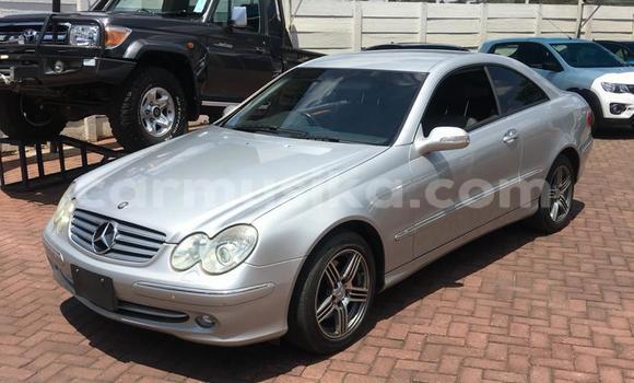 Buy Import Mercedes‒Benz CLK–Class Silver Car in Harare in Harare Buy Import Mercedes‒Benz CLK–Class Silver Car in Harare in Harare
