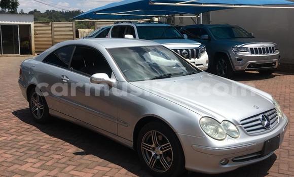 Buy Import Mercedes‒Benz CLK–Class Silver Car in Harare in Harare Buy Import Mercedes‒Benz CLK–Class Silver Car in Harare in Harare