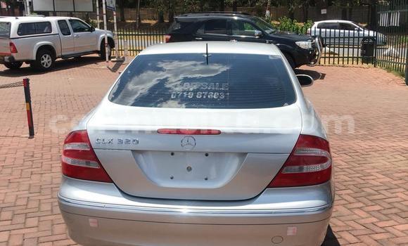 Buy Import Mercedes‒Benz CLK–Class Silver Car in Harare in Harare Buy Import Mercedes‒Benz CLK–Class Silver Car in Harare in Harare