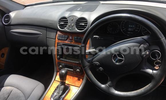 Buy Import Mercedes‒Benz CLK–Class Silver Car in Harare in Harare Buy Import Mercedes‒Benz CLK–Class Silver Car in Harare in Harare