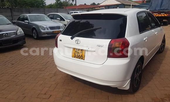 Acheter Import Voiture Toyota Runx Blanc à Harare, Harare Acheter Import Voiture Toyota Runx Blanc à Harare, Harare