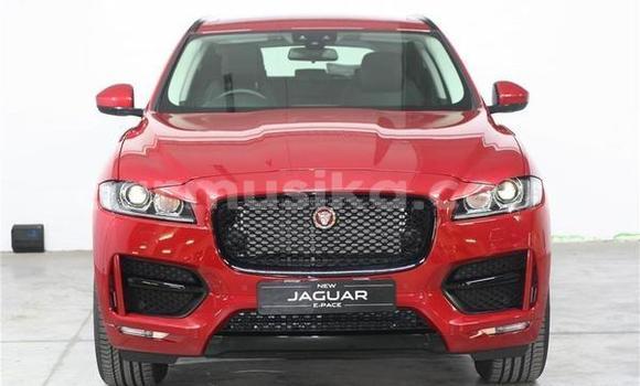 Acheter Occasion Voiture Jaguar F-Pace Rouge à Beitbridge, Matabeleland South Acheter Occasion Voiture Jaguar F-Pace Rouge à Beitbridge, Matabeleland South