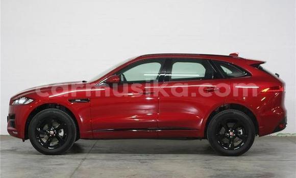 Acheter Occasion Voiture Jaguar F-Pace Rouge à Beitbridge, Matabeleland South Acheter Occasion Voiture Jaguar F-Pace Rouge à Beitbridge, Matabeleland South