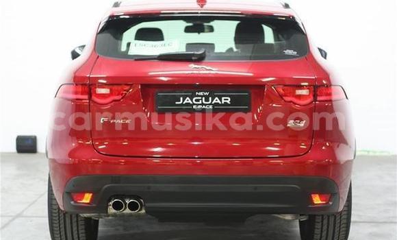 Acheter Occasion Voiture Jaguar F-Pace Rouge à Beitbridge, Matabeleland South Acheter Occasion Voiture Jaguar F-Pace Rouge à Beitbridge, Matabeleland South