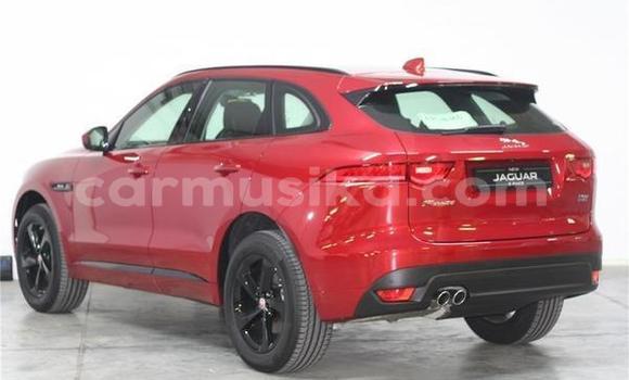Acheter Occasion Voiture Jaguar F-Pace Rouge à Beitbridge, Matabeleland South Acheter Occasion Voiture Jaguar F-Pace Rouge à Beitbridge, Matabeleland South