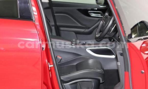 Acheter Occasion Voiture Jaguar F-Pace Rouge à Beitbridge, Matabeleland South Acheter Occasion Voiture Jaguar F-Pace Rouge à Beitbridge, Matabeleland South