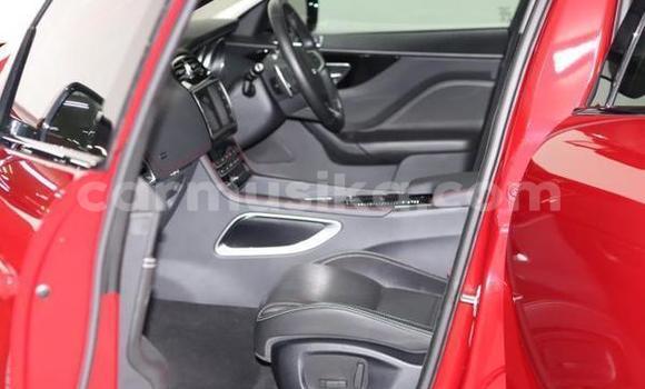 Acheter Occasion Voiture Jaguar F-Pace Rouge à Beitbridge, Matabeleland South Acheter Occasion Voiture Jaguar F-Pace Rouge à Beitbridge, Matabeleland South