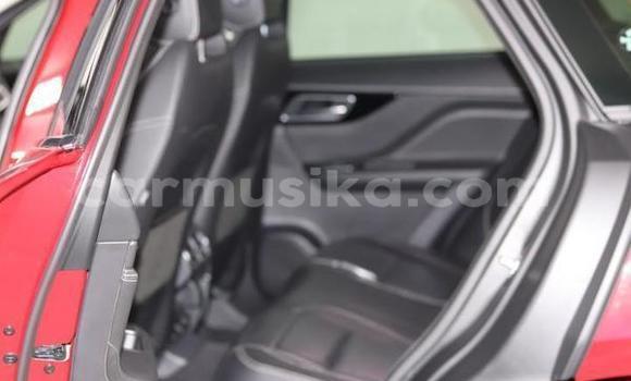 Acheter Occasion Voiture Jaguar F-Pace Rouge à Beitbridge, Matabeleland South Acheter Occasion Voiture Jaguar F-Pace Rouge à Beitbridge, Matabeleland South