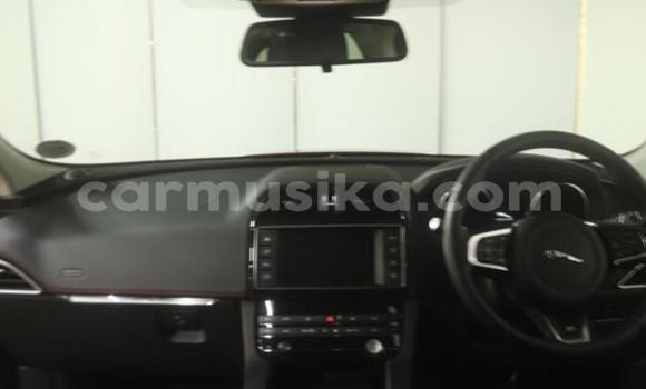 Acheter Occasion Voiture Jaguar F-Pace Rouge à Beitbridge, Matabeleland South Acheter Occasion Voiture Jaguar F-Pace Rouge à Beitbridge, Matabeleland South