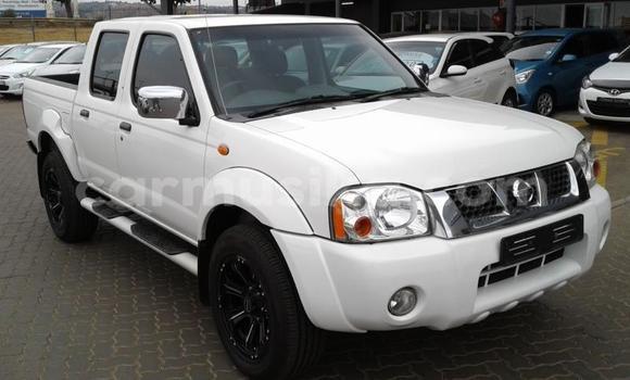Buy Used Nissan Hardbody White Car in Beitbridge in Matabeleland South Buy Used Nissan Hardbody White Car in Beitbridge in Matabeleland South
