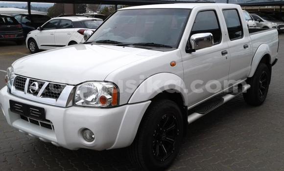 Buy Used Nissan Hardbody White Car in Beitbridge in Matabeleland South Buy Used Nissan Hardbody White Car in Beitbridge in Matabeleland South