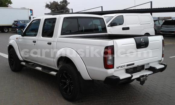 Buy Used Nissan Hardbody White Car in Beitbridge in Matabeleland South Buy Used Nissan Hardbody White Car in Beitbridge in Matabeleland South