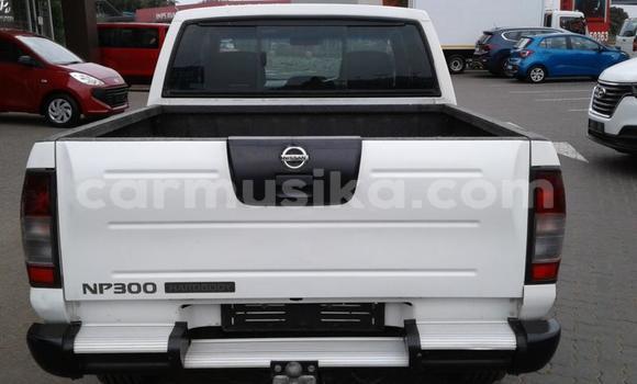 Buy Used Nissan Hardbody White Car in Beitbridge in Matabeleland South Buy Used Nissan Hardbody White Car in Beitbridge in Matabeleland South