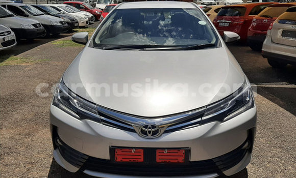 Tenga Tsaru Toyota Corolla Sirivha Mota in Beitbridge in Matabeleland South Tenga Tsaru Toyota Corolla Sirivha Mota in Beitbridge in Matabeleland South