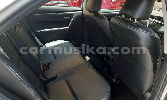 Tenga Tsaru Toyota Corolla Sirivha Mota in Beitbridge in Matabeleland South Tenga Tsaru Toyota Corolla Sirivha Mota in Beitbridge in Matabeleland South