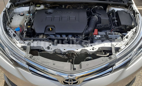 Tenga Tsaru Toyota Corolla Sirivha Mota in Beitbridge in Matabeleland South Tenga Tsaru Toyota Corolla Sirivha Mota in Beitbridge in Matabeleland South