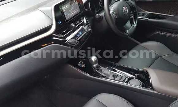 Buy Used Toyota RAV4 White Car in Beitbridge in Matabeleland South Buy Used Toyota RAV4 White Car in Beitbridge in Matabeleland South