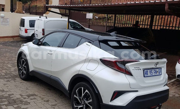 Buy Used Toyota RAV4 White Car in Beitbridge in Matabeleland South Buy Used Toyota RAV4 White Car in Beitbridge in Matabeleland South