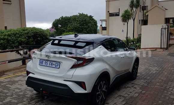 Buy Used Toyota RAV4 White Car in Beitbridge in Matabeleland South Buy Used Toyota RAV4 White Car in Beitbridge in Matabeleland South