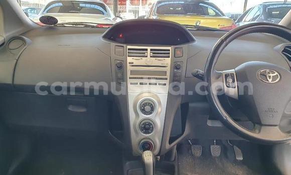 Buy Used Toyota Yaris Blue Car in Beitbridge in Matabeleland South Buy Used Toyota Yaris Blue Car in Beitbridge in Matabeleland South