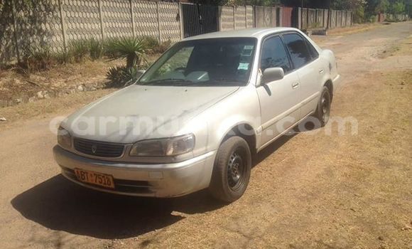 Acheter Occasion Voiture Toyota Corolla Autre à Harare, Harare Acheter Occasion Voiture Toyota Corolla Autre à Harare, Harare