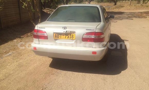 Acheter Occasion Voiture Toyota Corolla Autre à Harare, Harare Acheter Occasion Voiture Toyota Corolla Autre à Harare, Harare