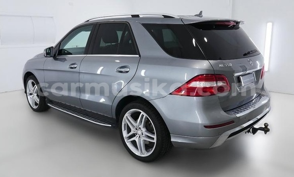 Tenga Tsaru Mercedes‒Benz AMG GLE Zvimwe Mota in Mapopoma eVhitori in Matabeleland North Tenga Tsaru Mercedes‒Benz AMG GLE Zvimwe Mota in Mapopoma eVhitori in Matabeleland North