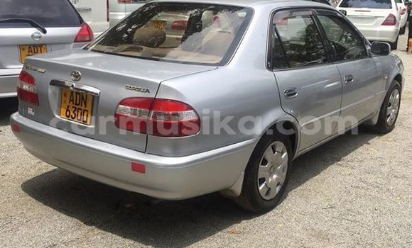 Buy Used Toyota Corolla Silver Car in Harare in Harare Buy Used Toyota Corolla Silver Car in Harare in Harare