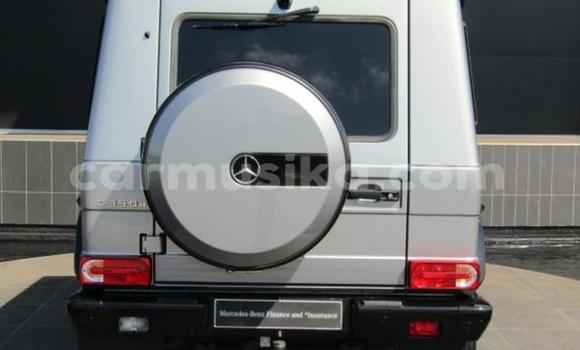 Tenga Tsaru Mercedes‒Benz G-klasse Sirivha Mota in Bulawayo in Bulawayo Tenga Tsaru Mercedes‒Benz G-klasse Sirivha Mota in Bulawayo in Bulawayo