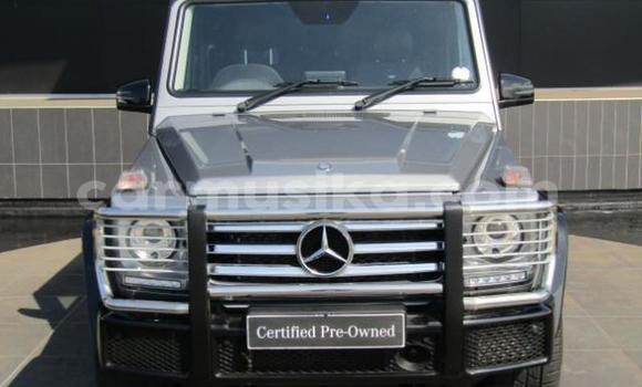 Tenga Tsaru Mercedes‒Benz G-klasse Sirivha Mota in Bulawayo in Bulawayo Tenga Tsaru Mercedes‒Benz G-klasse Sirivha Mota in Bulawayo in Bulawayo
