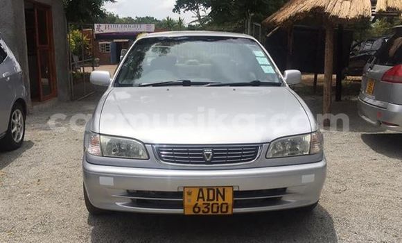 Buy Used Toyota Corolla Silver Car in Harare in Harare Buy Used Toyota Corolla Silver Car in Harare in Harare